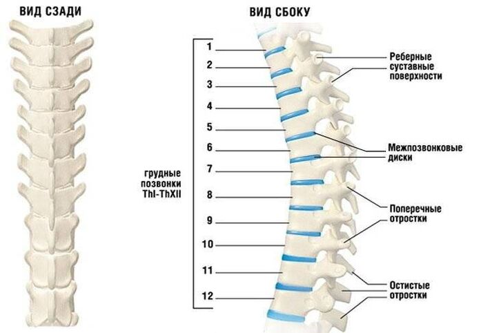 cervikálna osteochondróza