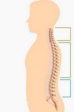 lézia osteochondrózy rôznych častí chrbtice